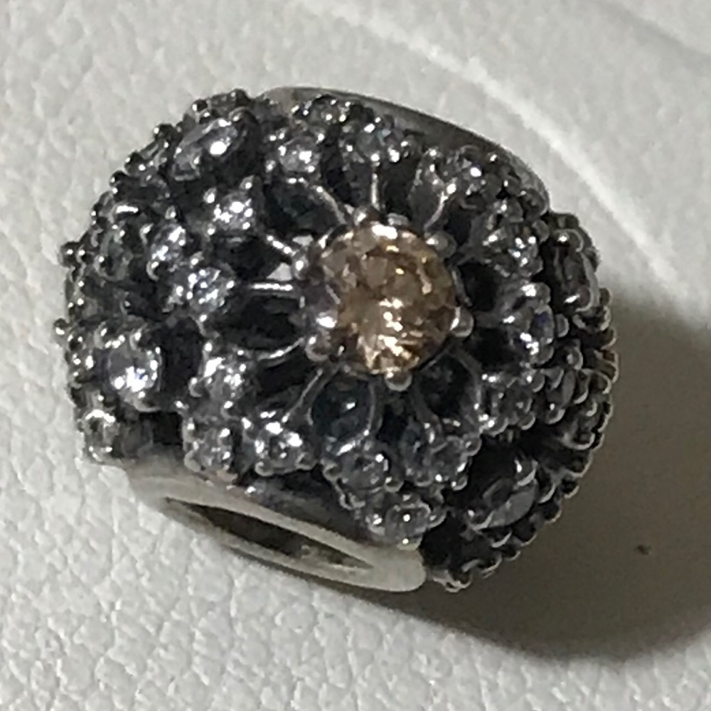 Pandora Charm